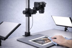 kolumna reprodukcyjna