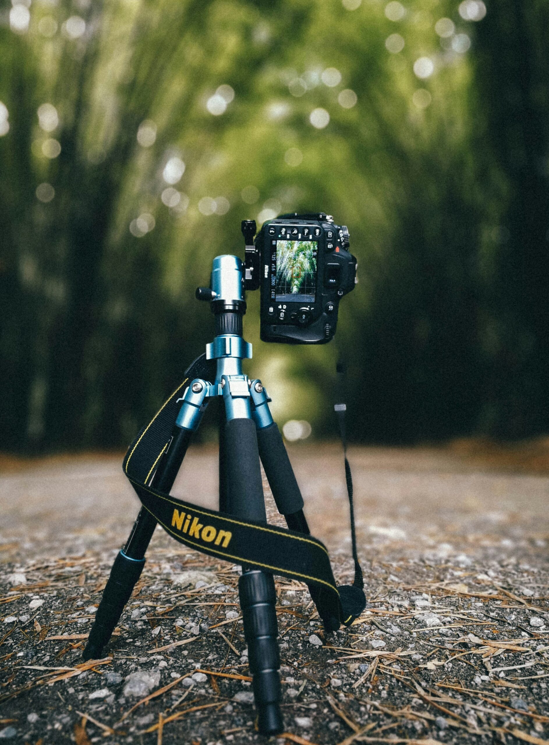 statyw fotograficzny